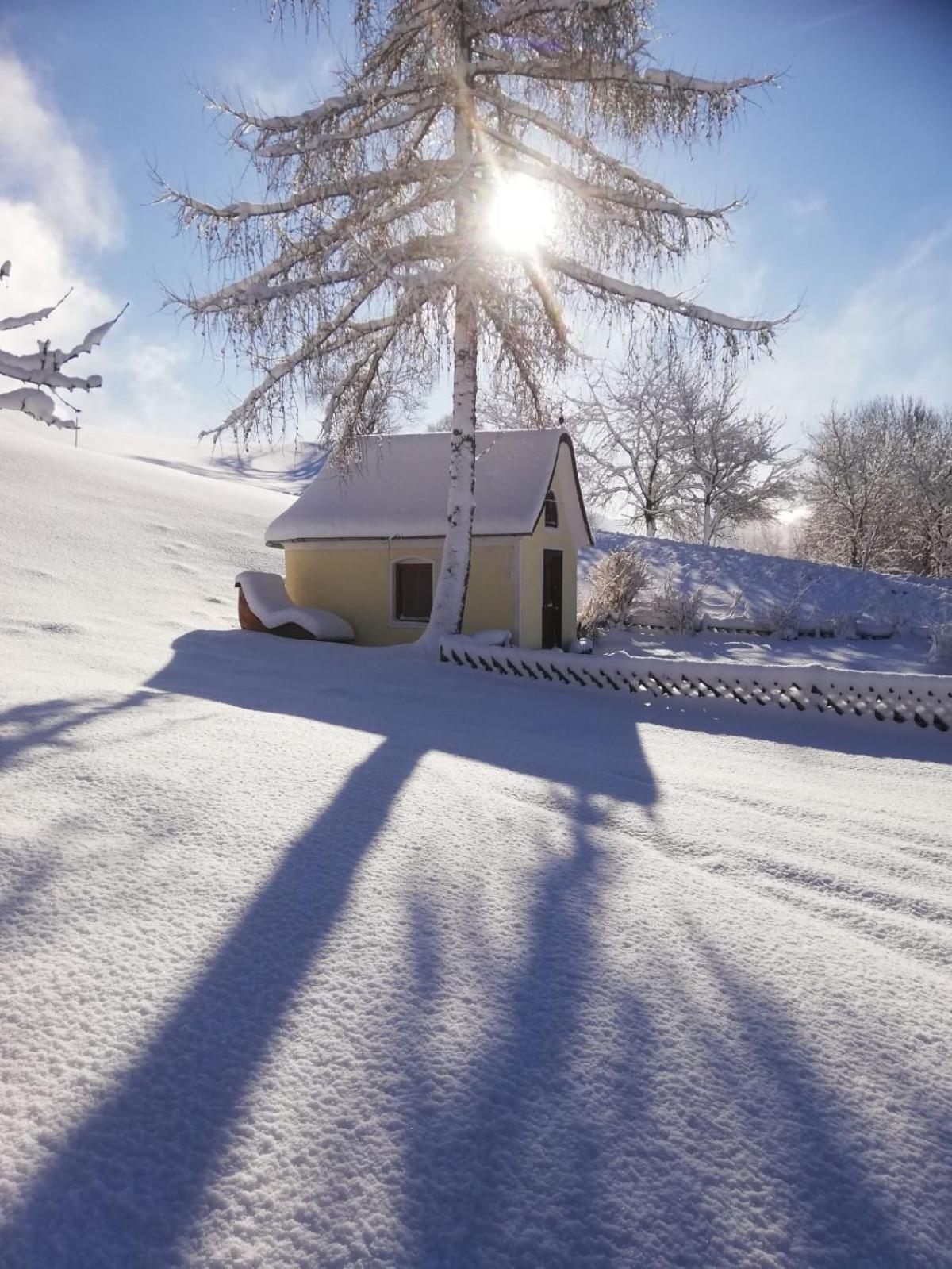 Alpenchalets Oberlaiming إتيير المظهر الخارجي الصورة